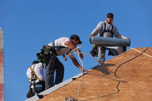 Best Residential Roofing Contractor  in Farmville, NC